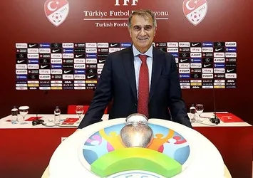 Şenol Güneş'ten yabancı kuralı sözleri