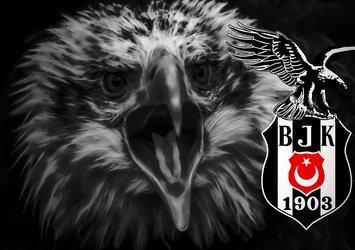 Beşiktaş'ın 65 sezondaki lig performansı!