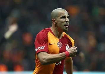 Feghouli kıymete bindi