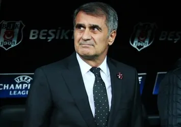 Şenol Güneş'in istediği yardımcı belli oldu