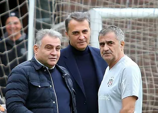 Beşiktaş'ta Orman kanunları