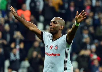 Babel, "dalya" için forma bekleyecek