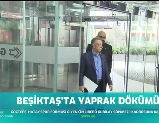 Beşiktaş'ta yaprak dökümü