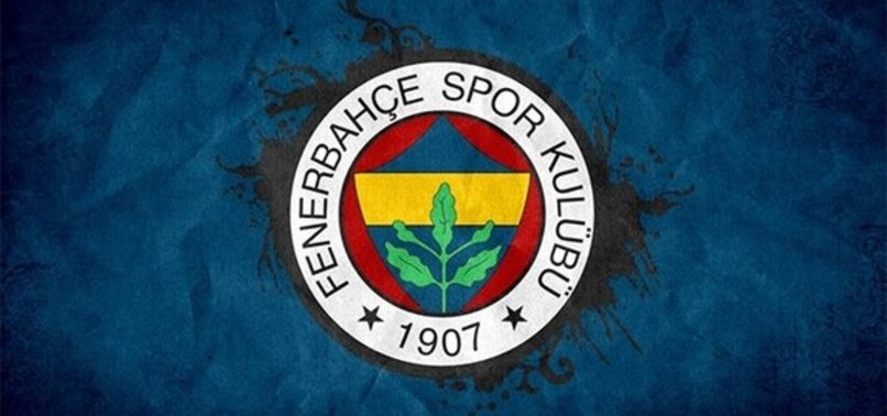 Fenerbahçe UEFA Avrupa Ligi D Grubu'nda kaçıncı sırada?