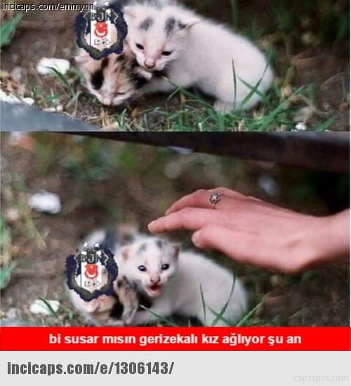 Beşiktaş, Kiev’e yenildi sosyal medya yıkıldı