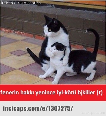 Antalyaspor - Fenerbahçe capsleri güldürdü