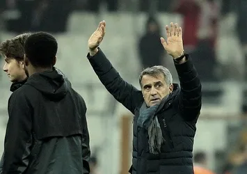 Şenol Güneş'ten 'taç' yorumu