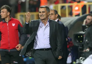 Şenol Güneş: "Sizin değeriniz bu değil"