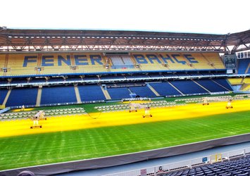 Saracoğlu Stadyumu yeni sezona hazır