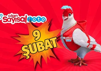İşte Çılgın Sayısal Loto sonuçları