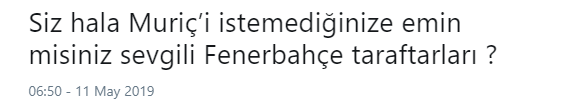 Vedat Muriç için olay sözler! Gerçek Fenerbahçeli oldu
