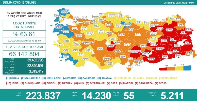 Türkiye'de corona virüsü vakası sayısı kaç oldu? Sağlık Bakanı Fahrettin Koca açıkladı (Türkiye Günlük corona virüsü tablosu - 25 Temmuz) - 1