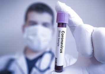 Corona virüsü salgını bu yaz bitecek mi? Açıklama geldi