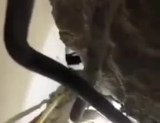 Günay: Abi sen gitme...