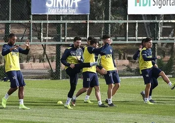 Kanarya pürneşe