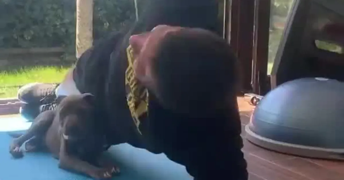 Adem Büyük köpeğiyle birlikte çalışıyor