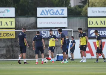 Kanarya topbaşı yapıyor