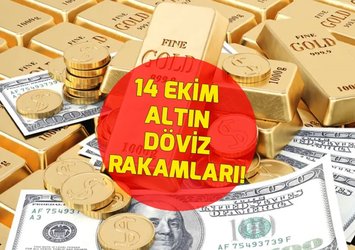 💲1 DOLAR NE KADAR?