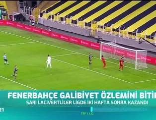 Fenerbahçe galibiyet özlemini bitirdi