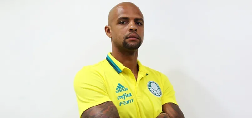 Felipe Melo, Palmeiras'a transfer oldu