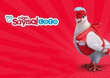 Çılgın Sayısal Loto sonuçları!