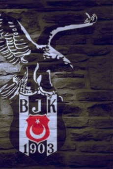 Beşiktaş, Kocaeli Birlikspor'u satın alıyor