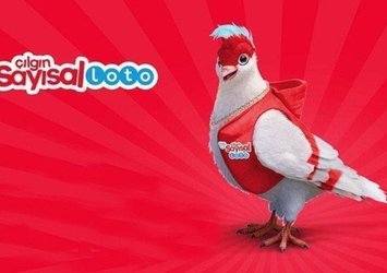 İşte Çılgın Sayısal Loto sonuçları!