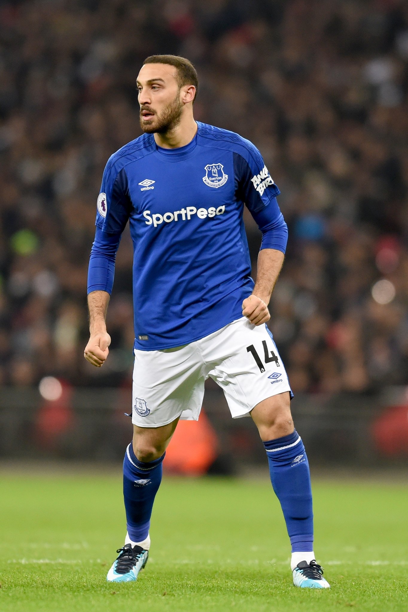 İlk maçında Cenk Tosun’a övgüler yağdı