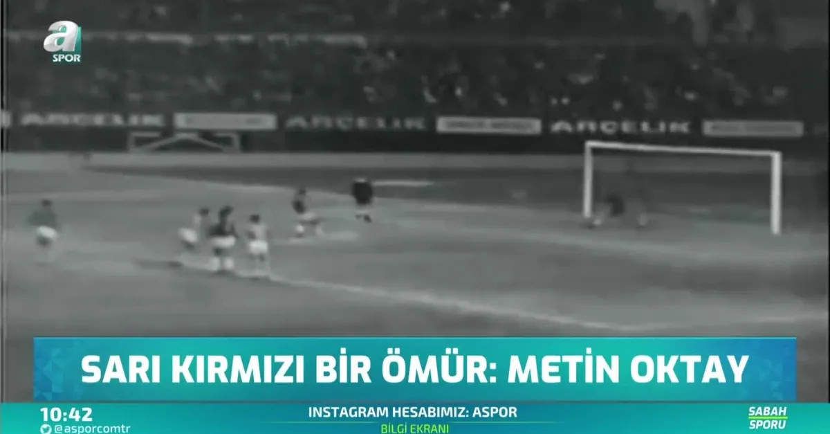 Metin Oktay - Portre