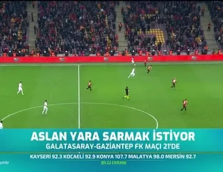 Aslan yara sarmak istiyor