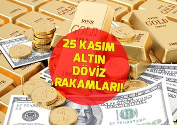 💲1 DOLAR NE KADAR?
