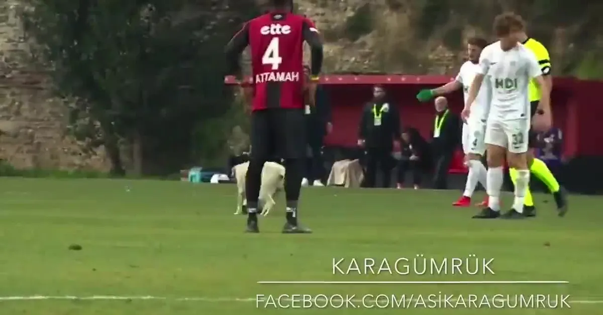 Karşılaşmaya damga vurdu! Davetsiz misafir...