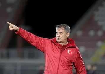 Şenol Güneş'ten Emre Belözoğlu açıklaması