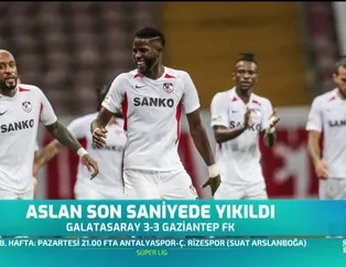 Aslan son saniyede yıkıldı