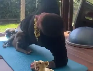 Adem Büyük köpeğiyle birlikte çalışıyor