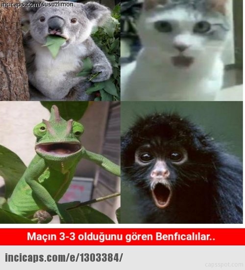 Beşiktaş-Benfica maçı capsleri