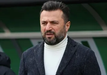 Horoz sahaya iniyor
