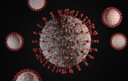 Koronavirüs Eris varyantı nedir, nasıl bulaşır? Hangi ülkelerde görüldü?