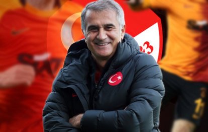 Son dakika spor haberi: Galatasaraylı Halil Dervişoğlu A Milli Takım’a göz kırpıyor! Şenol Güneş...
