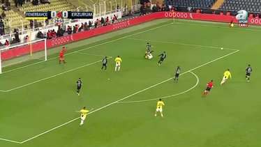 Fenerbahçe 5-0 Erzurumspor FK (MAÇ ÖZETİ)