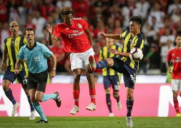 Kanarya turu Kadıköy'e bıraktı