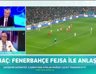 Haldun Domaç: "Fenerbahçe Fejsa ile anlaştı"