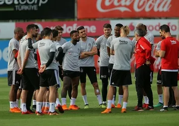 Kartal sahaya iniyor