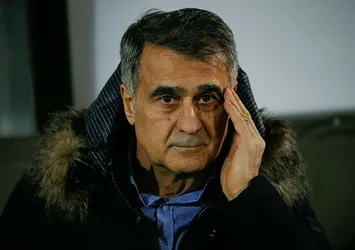 Şenol Güneş'ten flaş Milli Takım açıklaması
