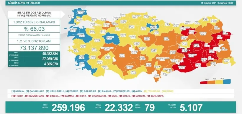 Son dakika haberi: Türkiye'de corona virüsü vakası sayısı kaç oldu? Sağlık Bakanı Fahrettin Koca açıkladı (Türkiye Günlük Koronavirüs Tablosu - 31 Temmuz - 1