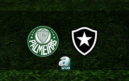 Palmeiras - Botafogo CANLI MAÇ İZLE