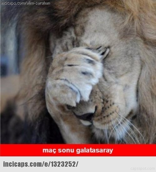 Galatasaray elendi sosyal medya sallandı