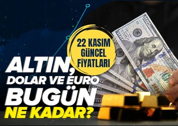 Euro, dolar, sterlin, gram, çeyrek, yarım altın kaç TL?