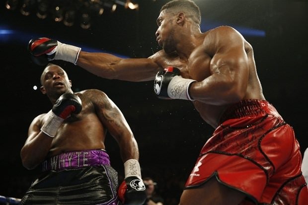 Tek yumrukla rakibini nakavt etti