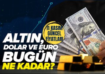 Canlı Altın ve Döviz Kuru Takibi